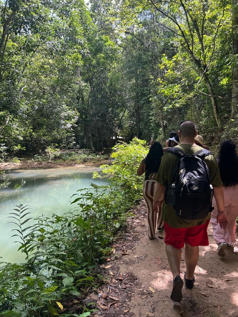 La cascade d'El Limón à pied, avec déjeuner — Demi-journée : photo de la galerie