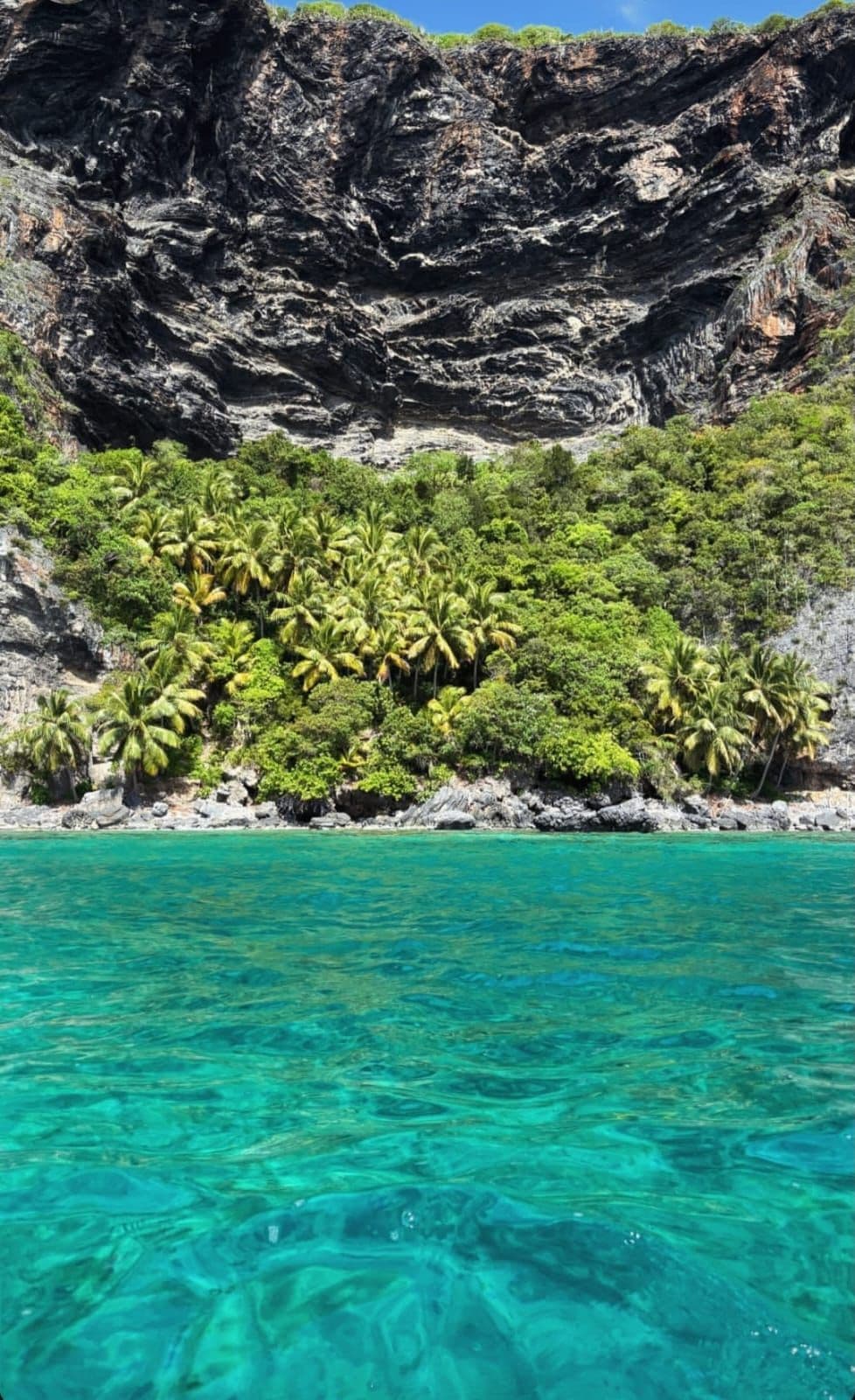 Parc national Los Haitises et Cayo Levantado en catamaran : photo de la galerie