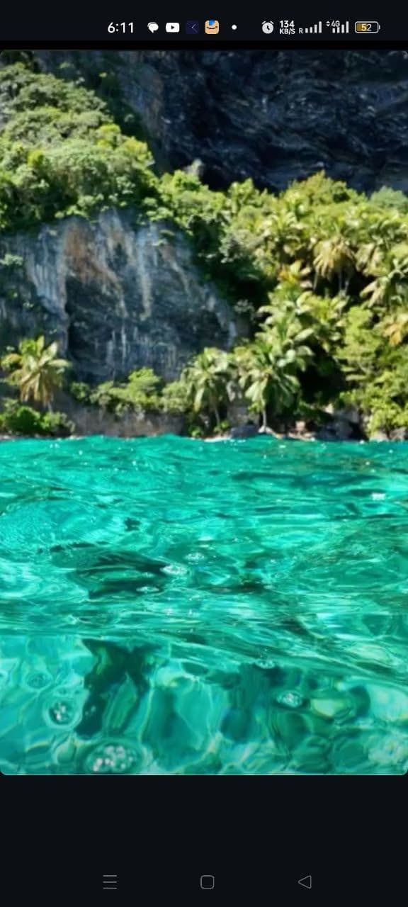 Los Haitises National Park and Cayo Levantado by Catamaran gallery image