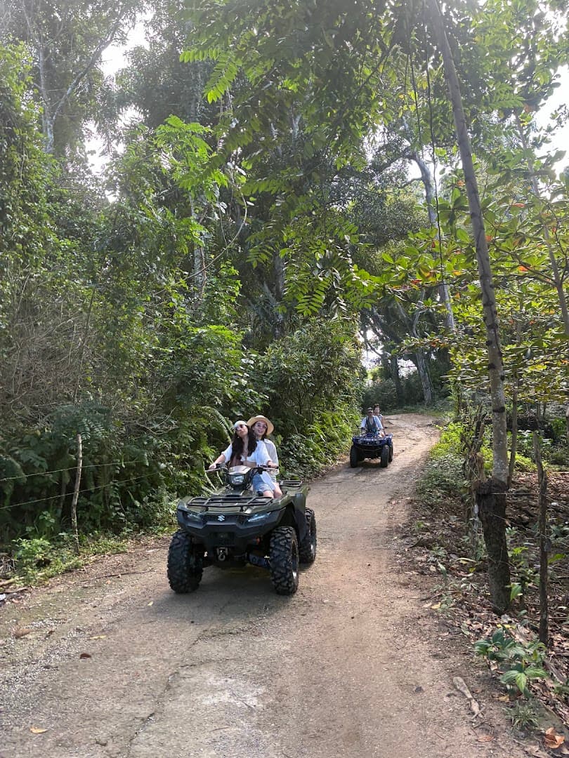 Quad, Buggy, Scooter and Car Rental in Las Terrenas — Helmet and Third-Party Insurance Included gallery image