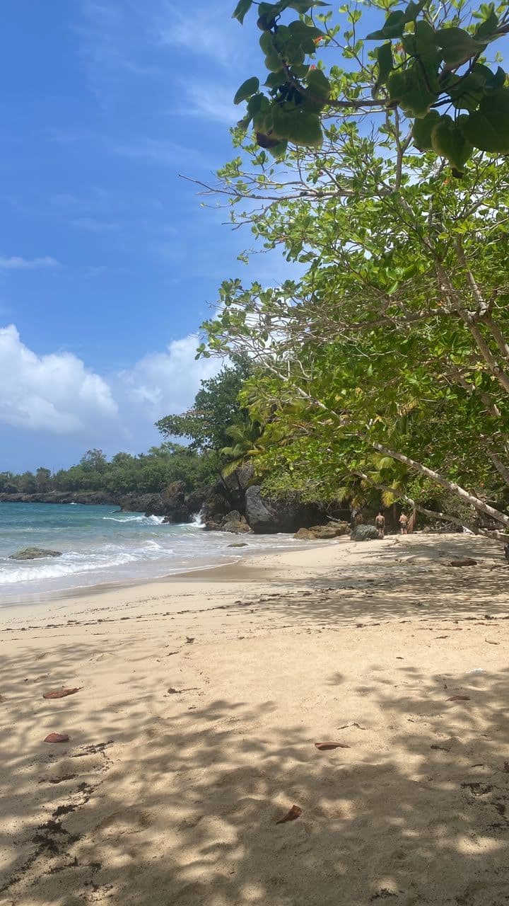Seven Virgin Beaches on Foot from Las Galeras
