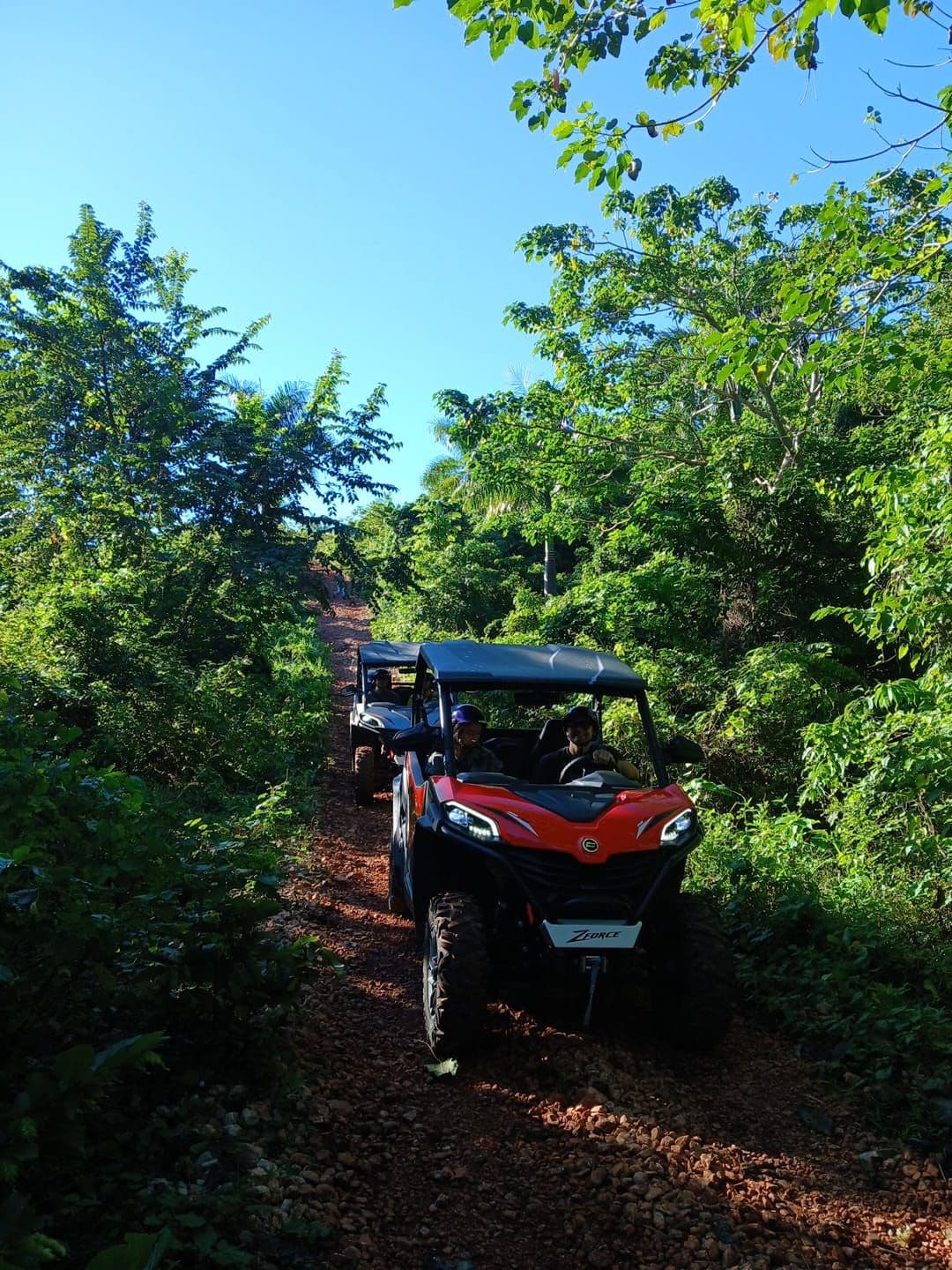 Buggy Half Day to Playa Rincón with Lunch at the Ranch