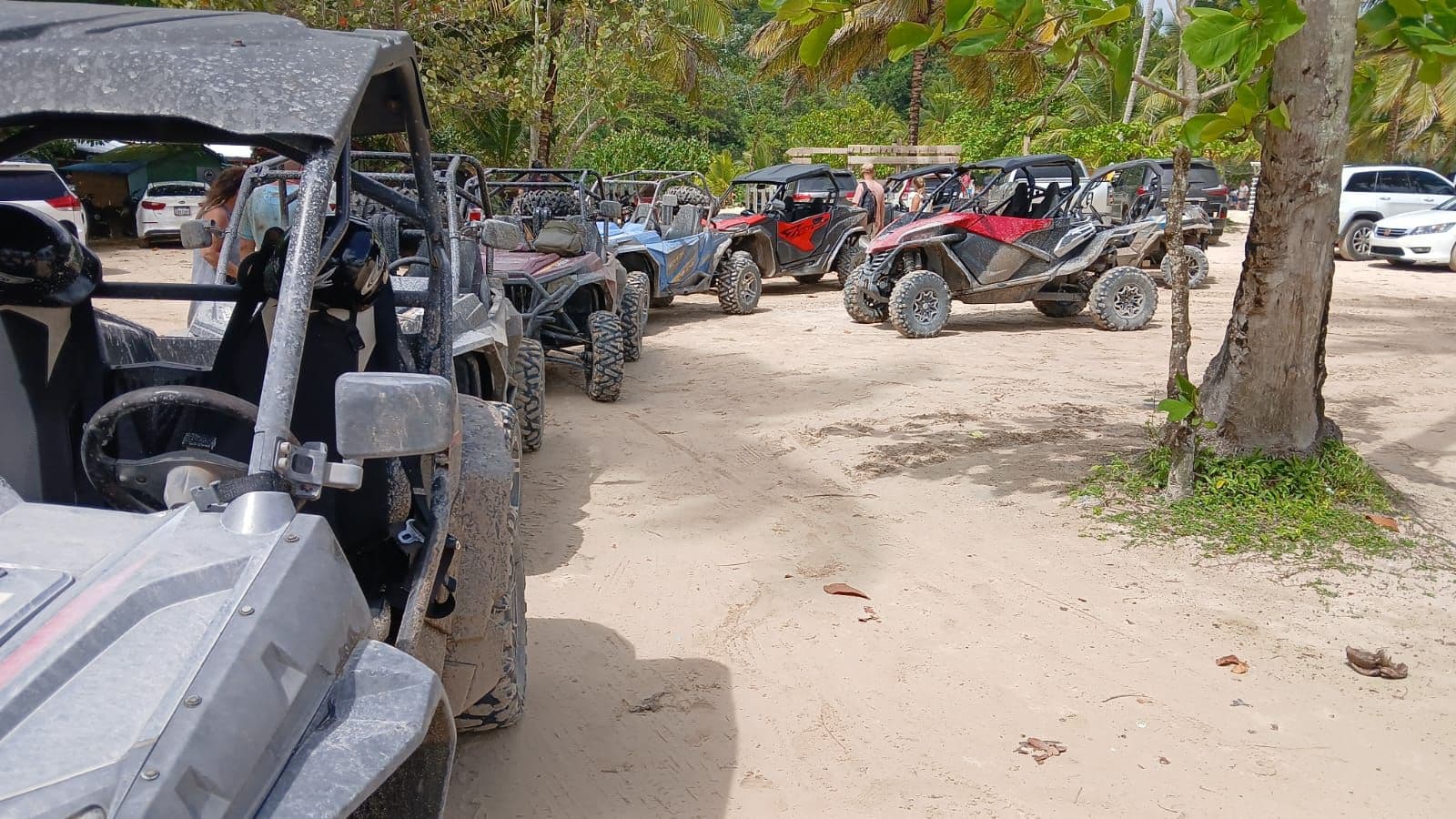 Buggy Half Day to Playa Rincón with Lunch at the Ranch gallery image