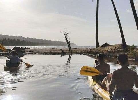 Sunset Kayak and Paddle Tour with Manati, Las Terrenas gallery image
