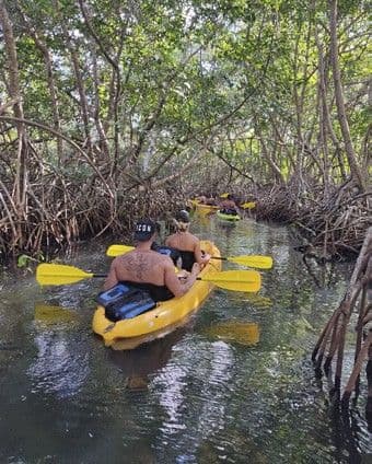 River, Mangrove and Sea Kayak Combo with Manati, Las Terrenas