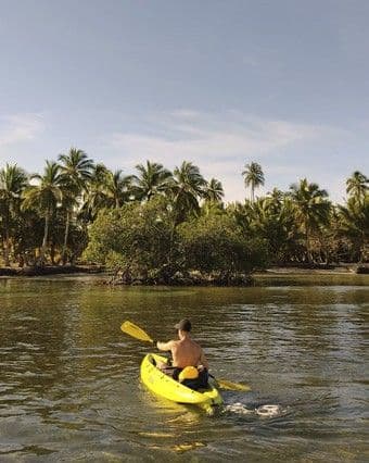 River, Mangrove and Sea Kayak Combo with Manati, Las Terrenas gallery image