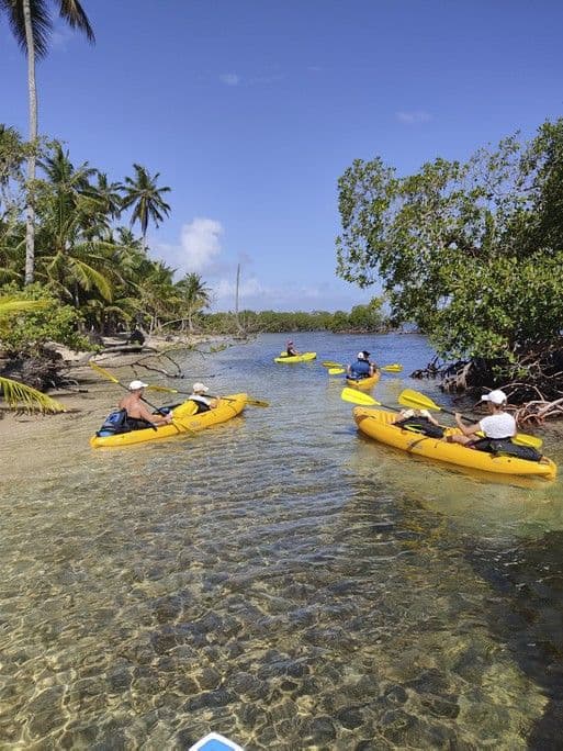 River, Mangrove and Sea Kayak Combo with Manati, Las Terrenas gallery image