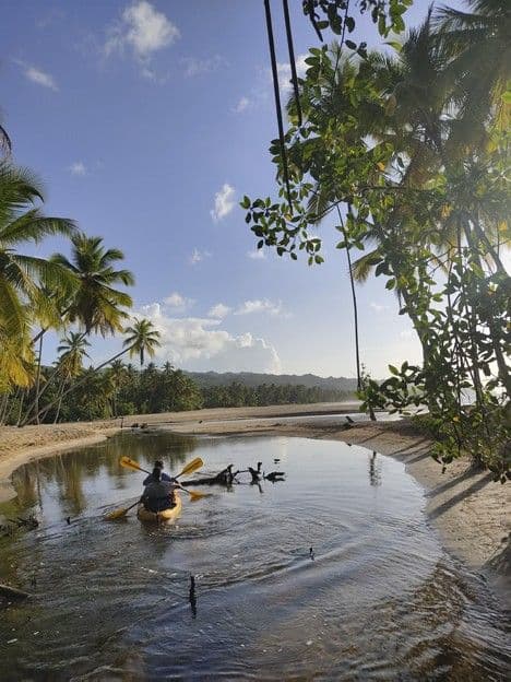River, Mangrove and Sea Kayak Combo with Manati, Las Terrenas gallery image