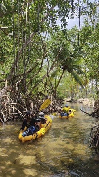 Discovery Tour: Coral Reefs, Mangroves and Wild Beaches with Manati gallery image