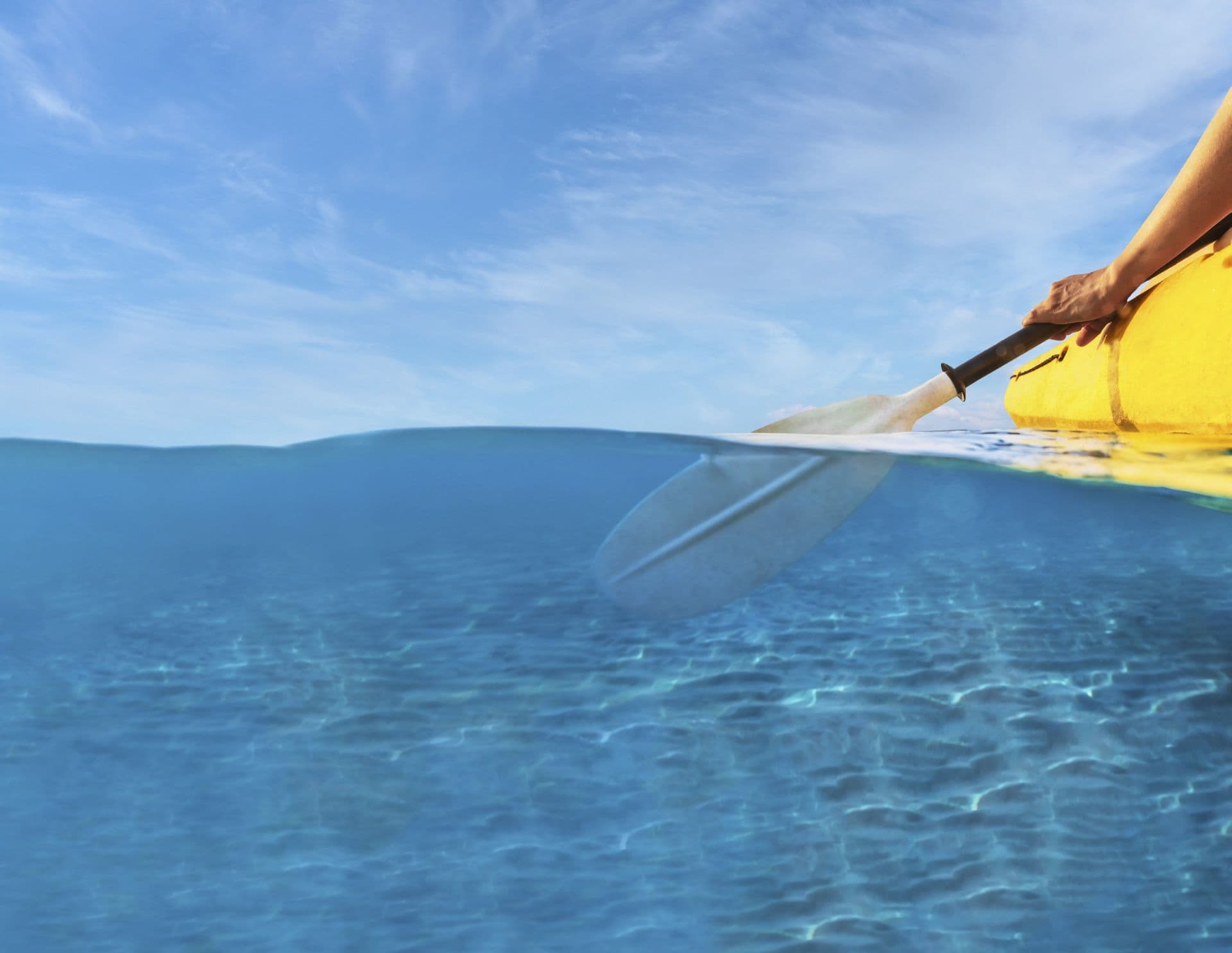 Discovery Tour: Coral Reefs, Mangroves and Wild Beaches with Manati gallery image