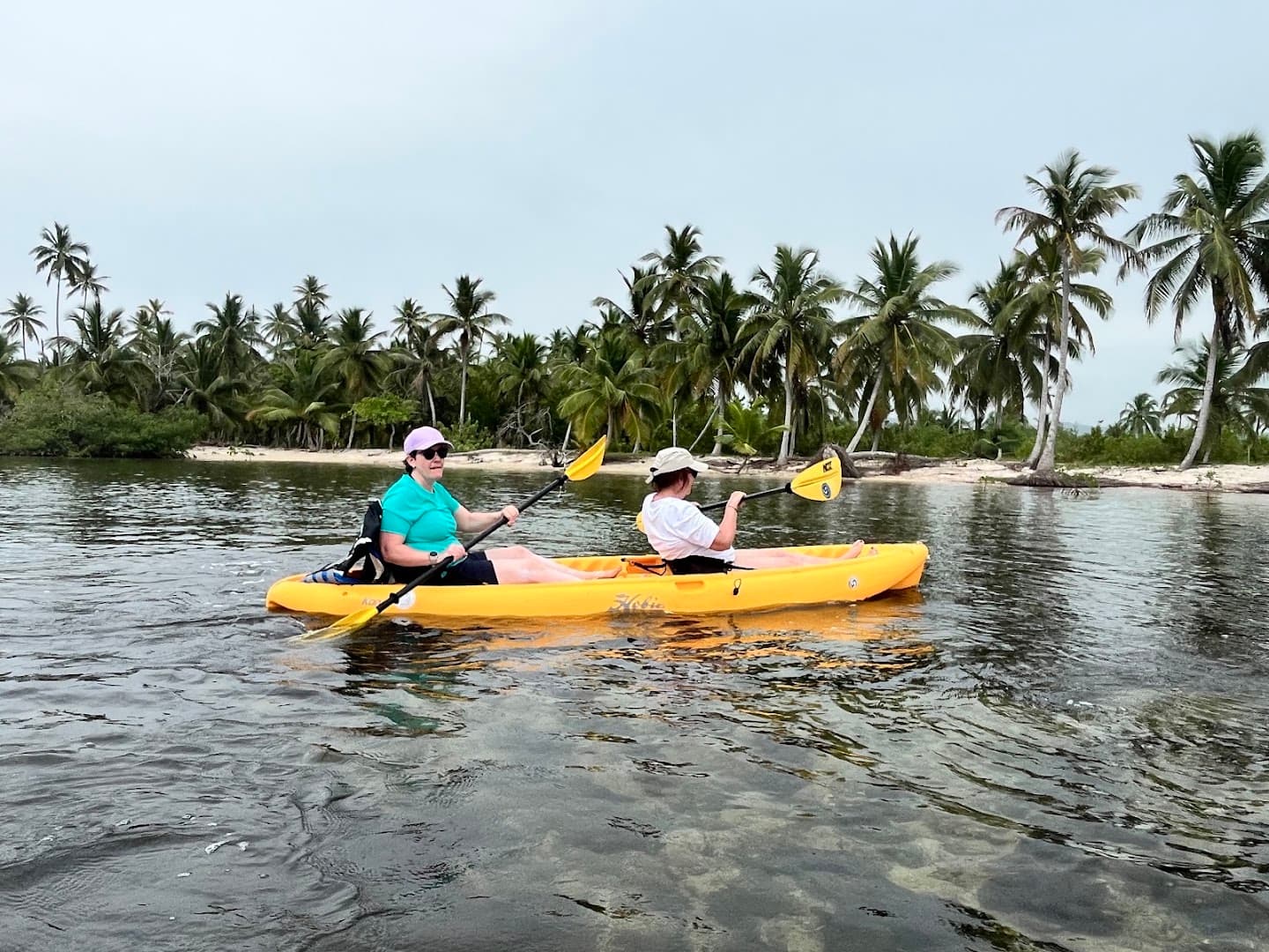 Alquiler de Kayak y Paddleboard con Manati, Las Terrenas: foto de la galería