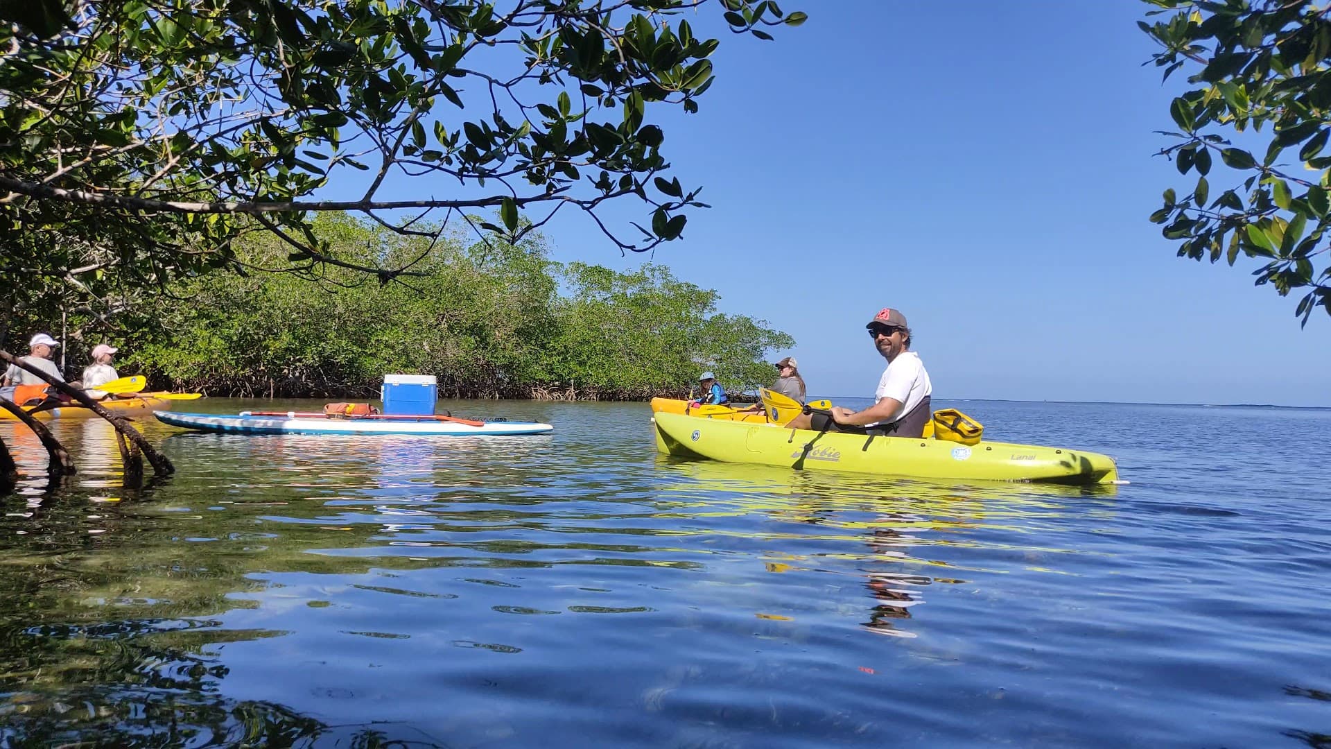 Alquiler de Kayak y Paddleboard con Manati, Las Terrenas: foto de la galería