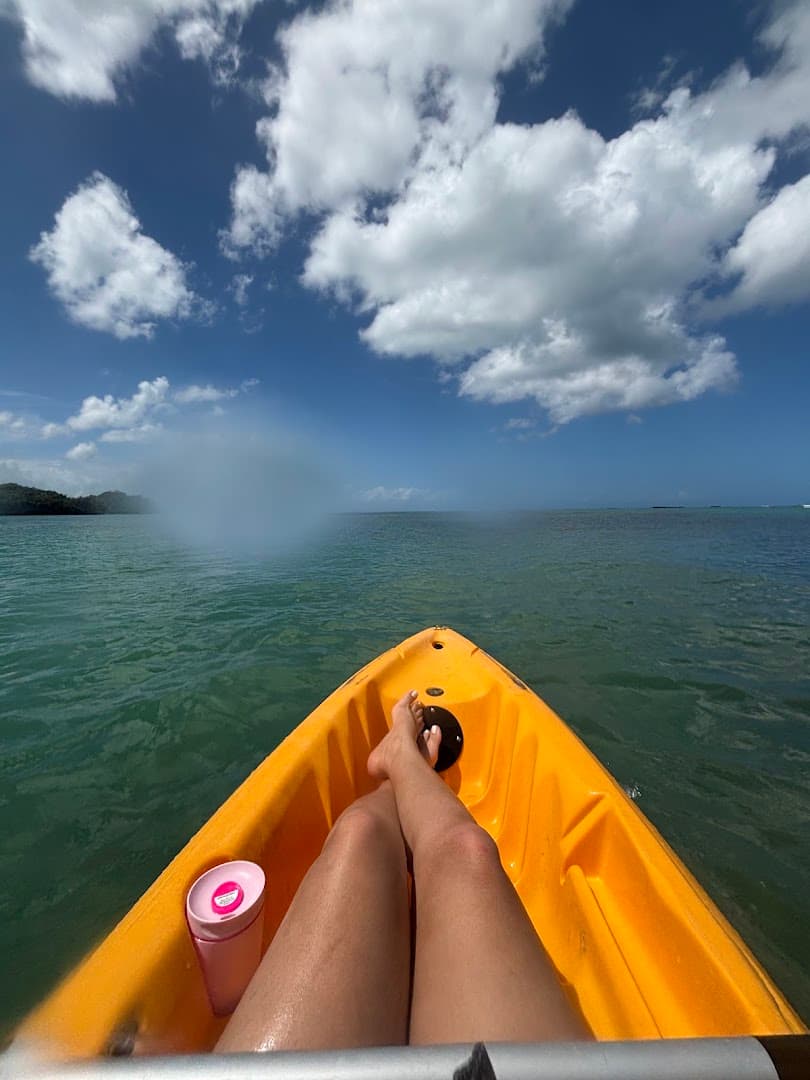 Alquiler de Kayak y Paddleboard con Manati, Las Terrenas: foto de la galería