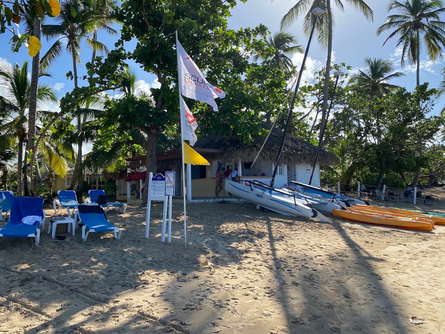 Plongée et sports nautiques avec Seaklub, Las Terrenas : photo de la galerie
