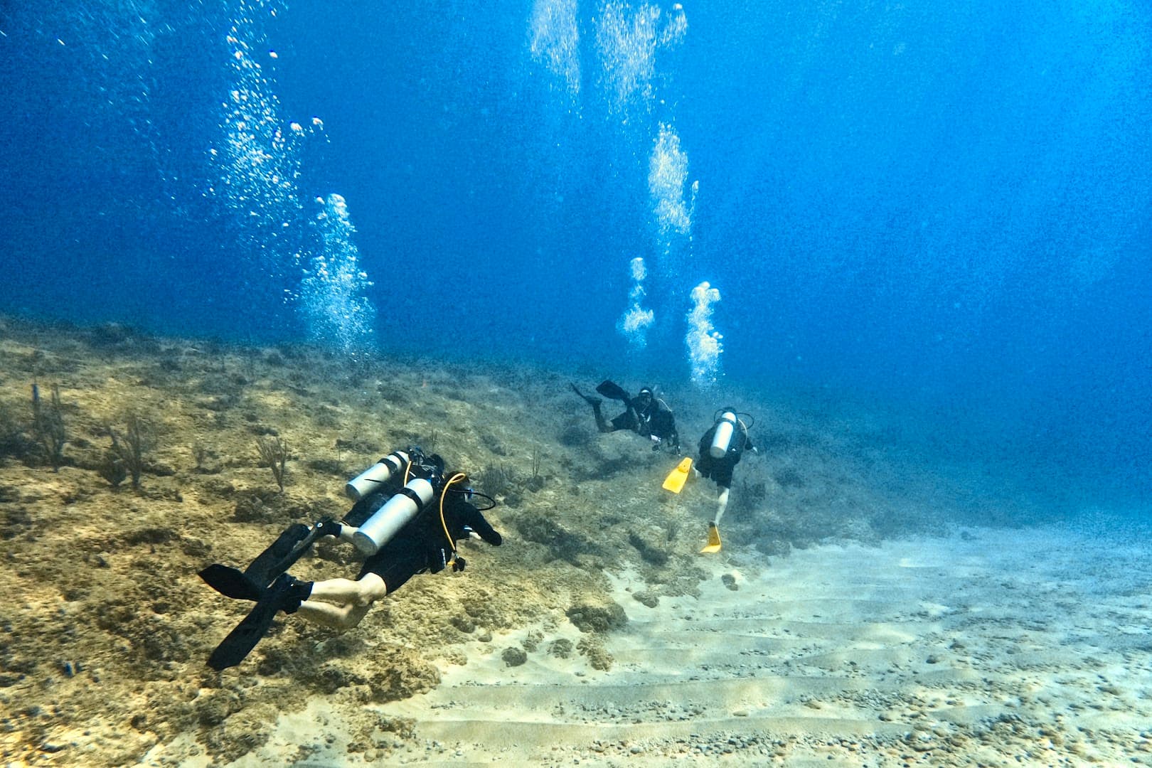 Plongée et sports nautiques avec Seaklub, Las Terrenas : photo de la galerie