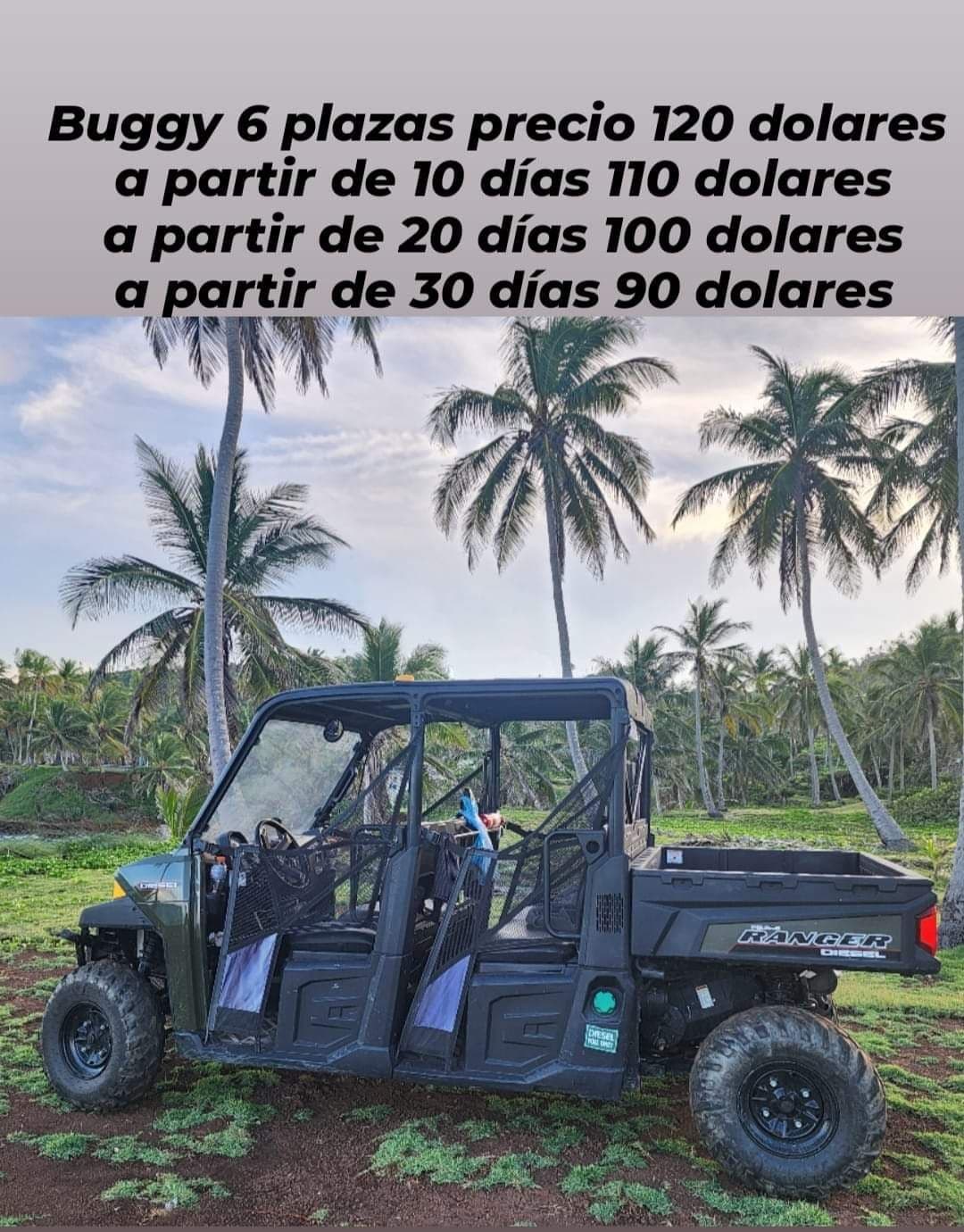 Buggy Rental — Las Terrenas gallery image