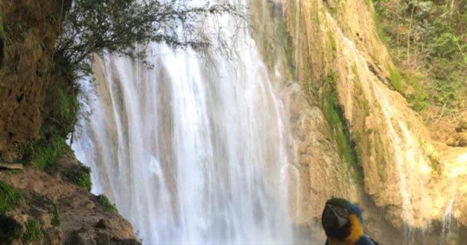 Caminata o cabalgata a la Cascada El Limón gallery image