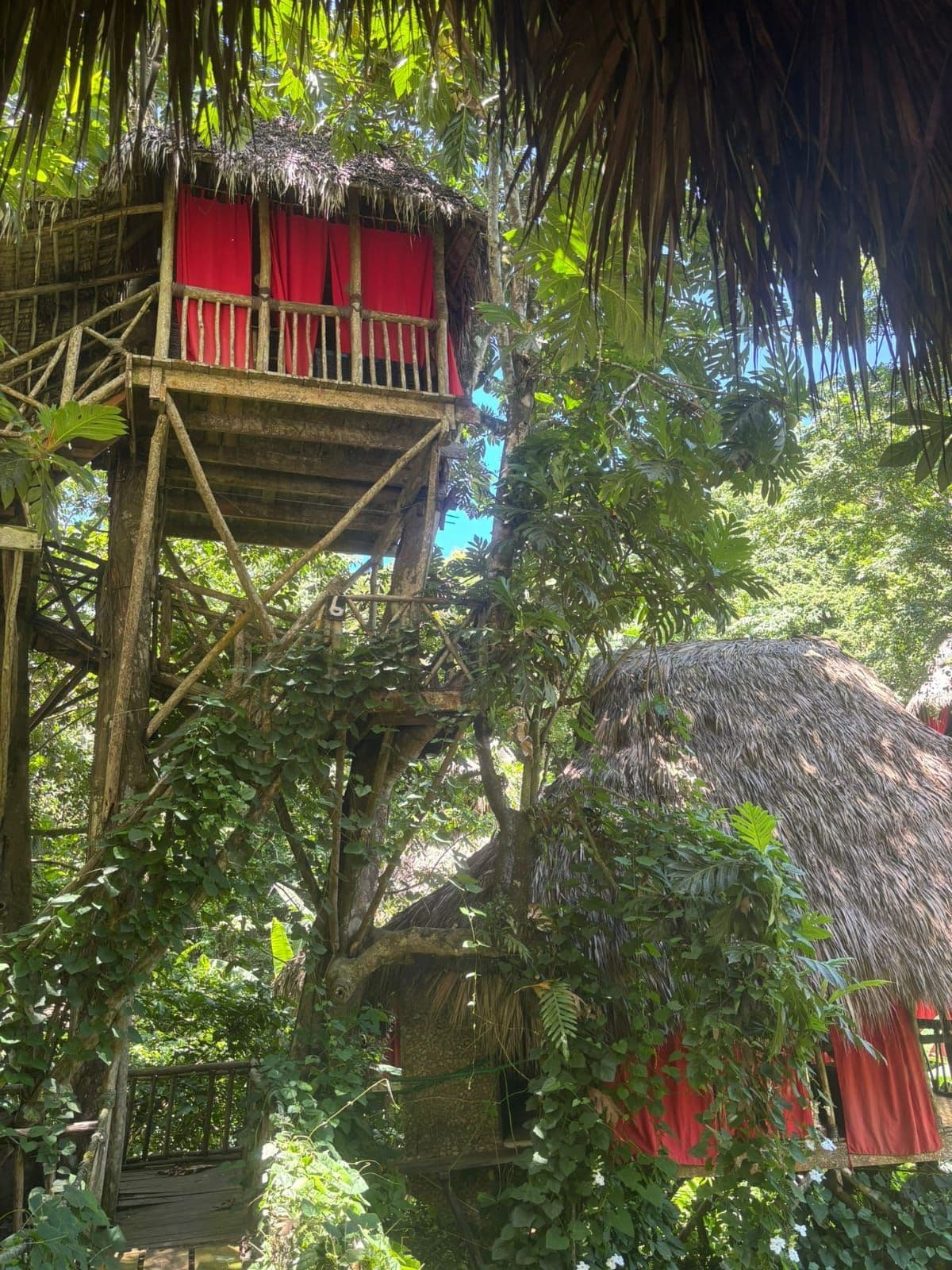 Aventura de Canopy y Playa El Valle gallery image