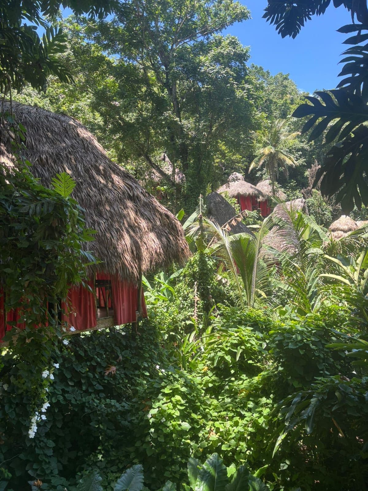 Aventura de Canopy y Playa El Valle gallery image