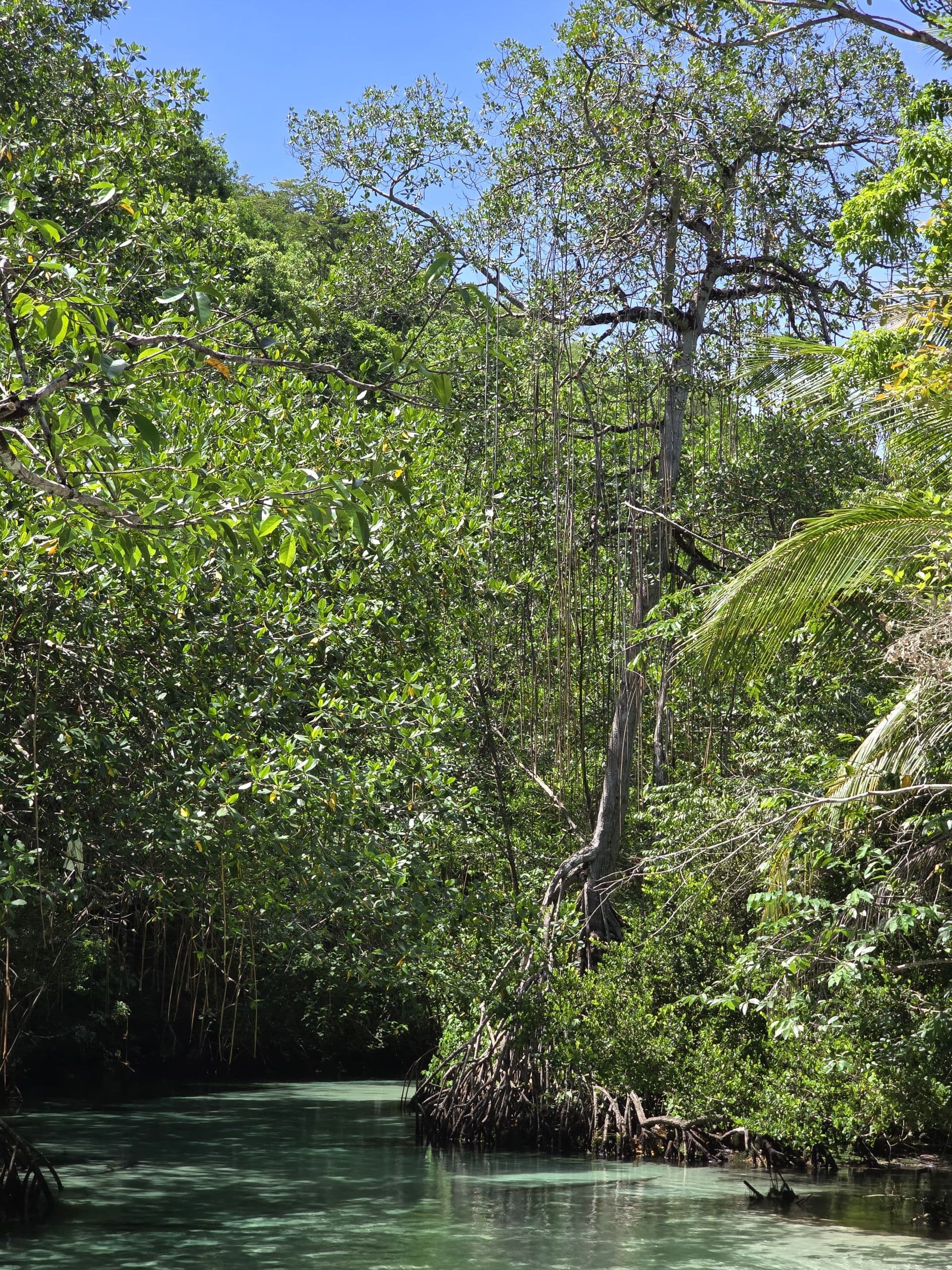 Tour en Buggy y Cuatrimoto — Rincón, Las Galeras gallery image