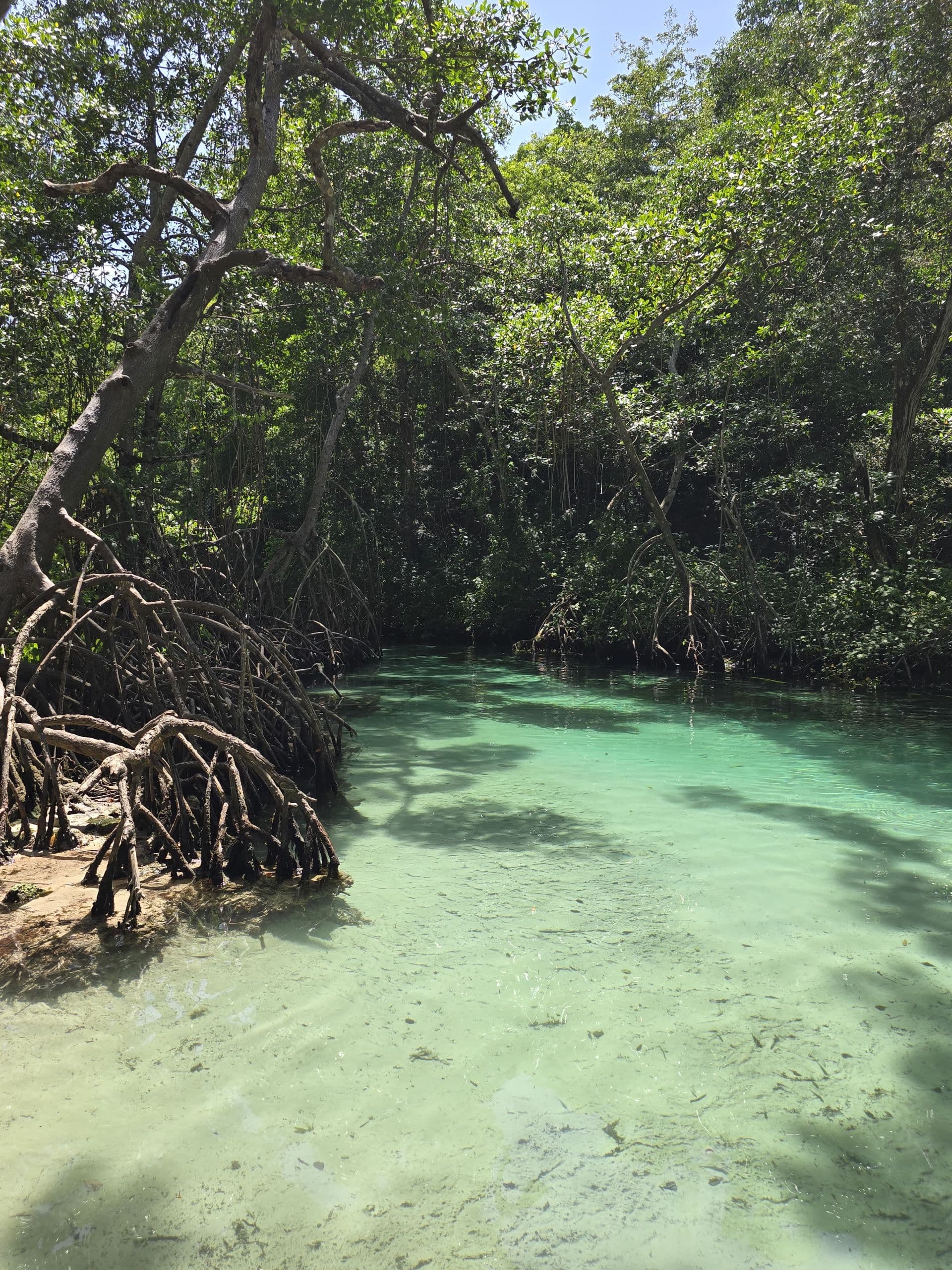 Tour en Buggy y Cuatrimoto — Rincón, Las Galeras gallery image