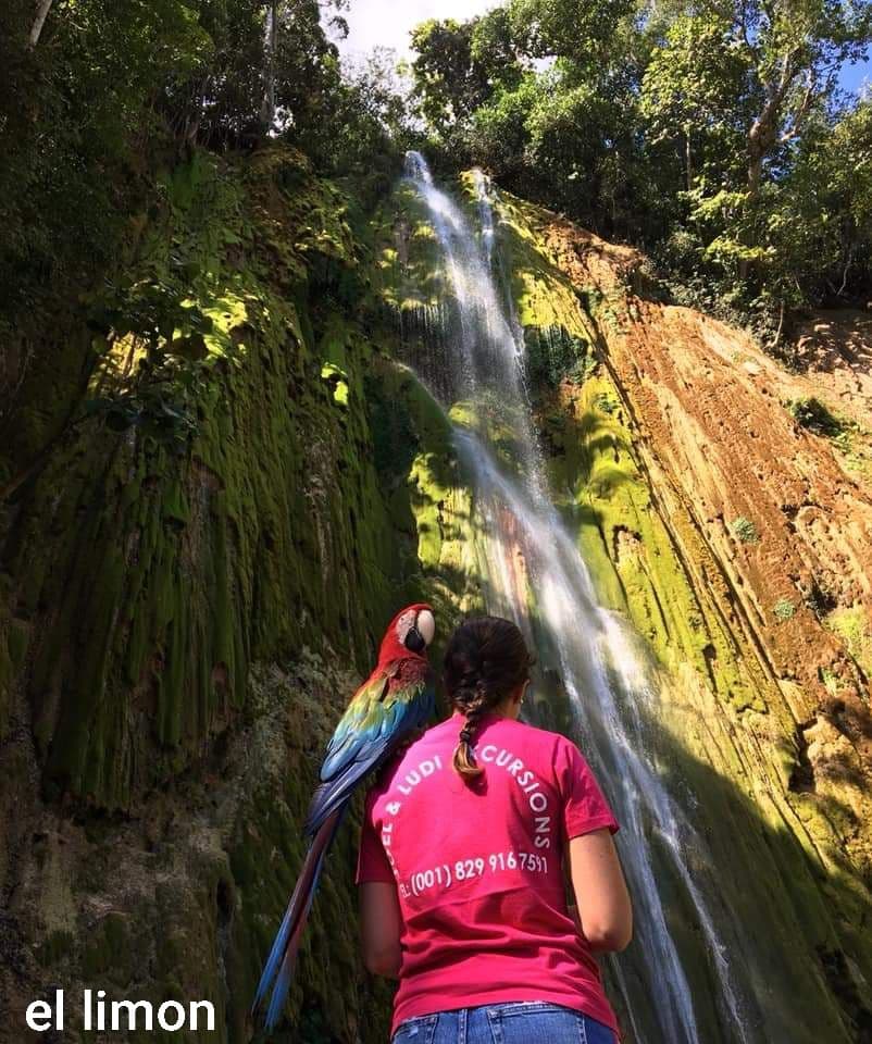 Caminata o cabalgata a la Cascada El Limón gallery image