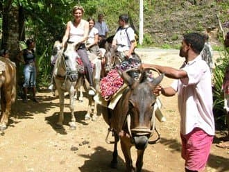 El Limón Waterfall Private Tour with Horseback Ride gallery image