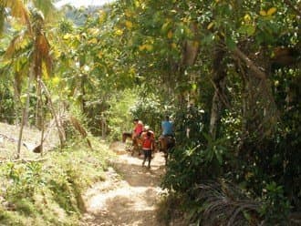 El Limón Waterfall Private Tour with Horseback Ride gallery image