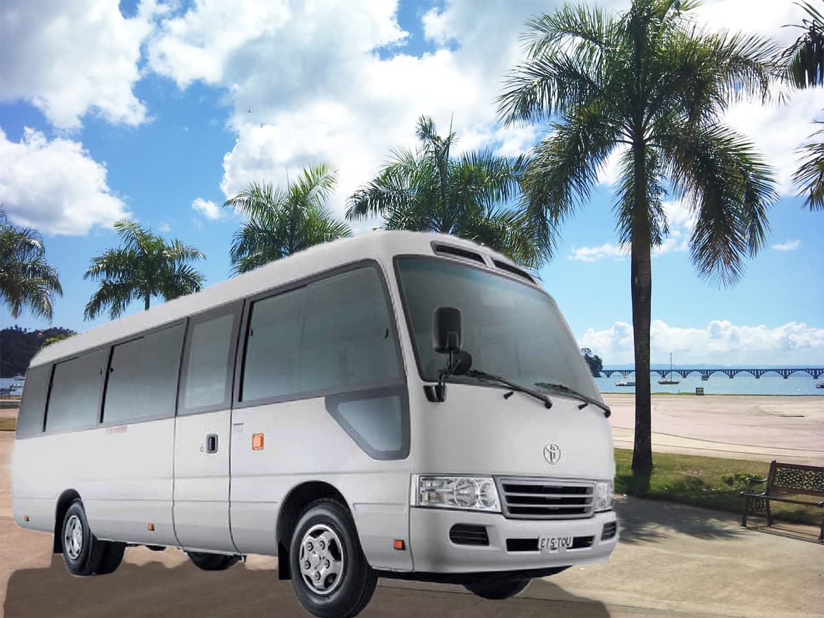 Private Airport Transfers & Driver — Samaná gallery image