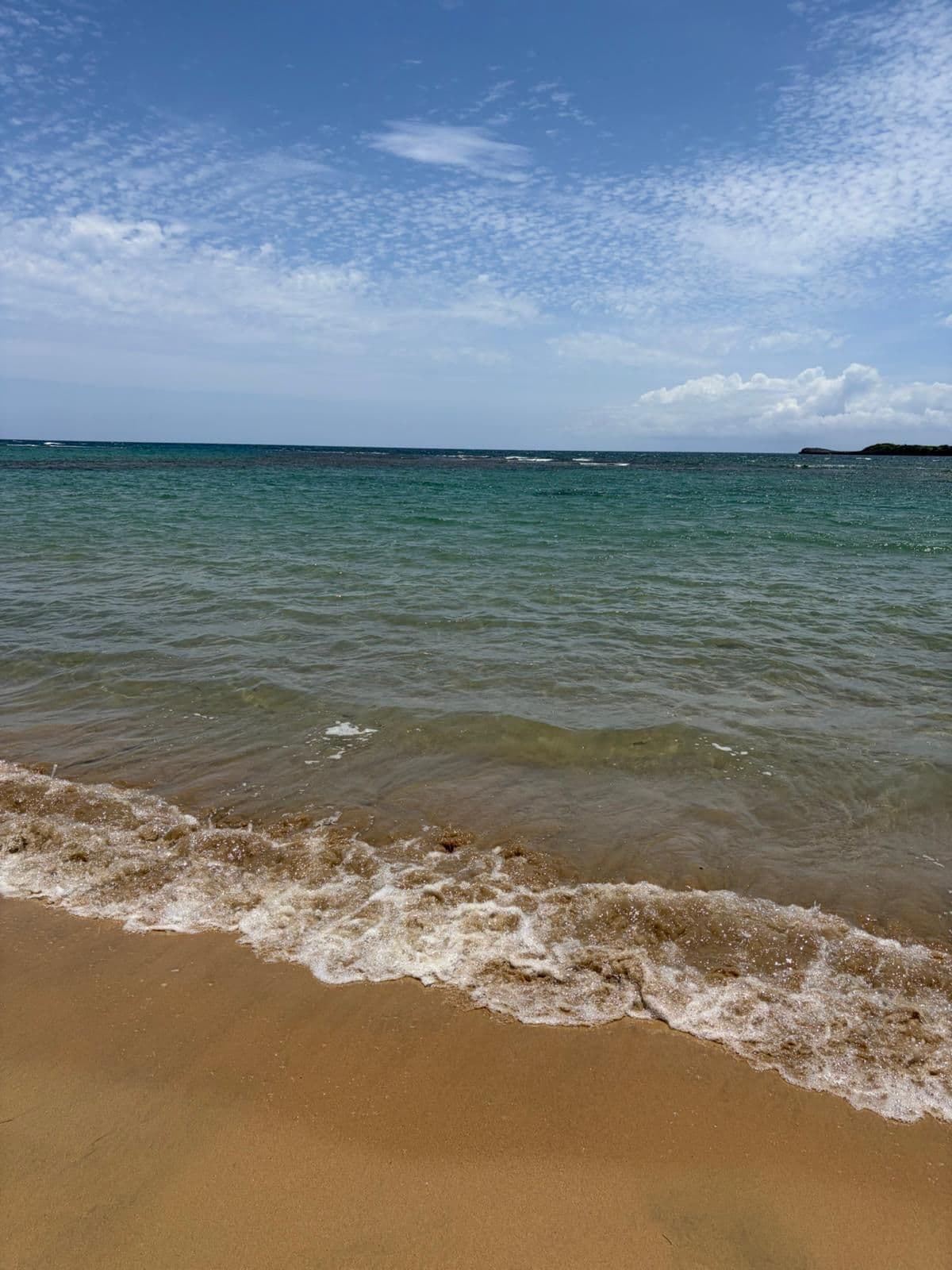 Route du café et plages en quad — Tout inclus : photo de la galerie