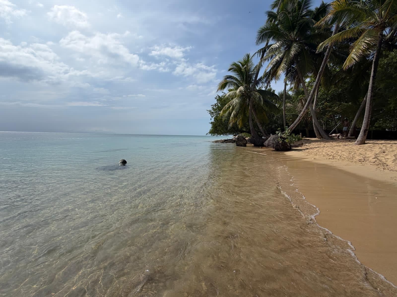 Route du café et plages en quad — Tout inclus : photo de la galerie
