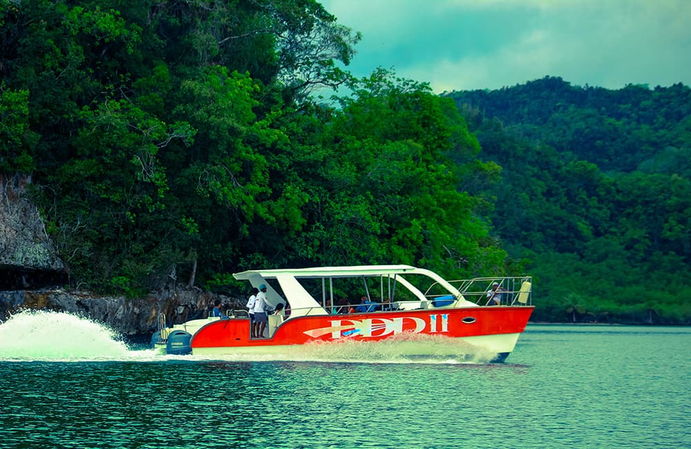 Visite en bateau du parc national Los Haitises et de Cayo Levantado avec DDD