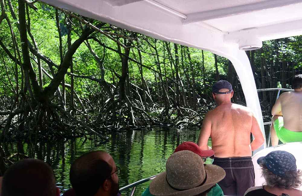 Los Haitises National Park and Cayo Levantado Boat Tour with DDD gallery image