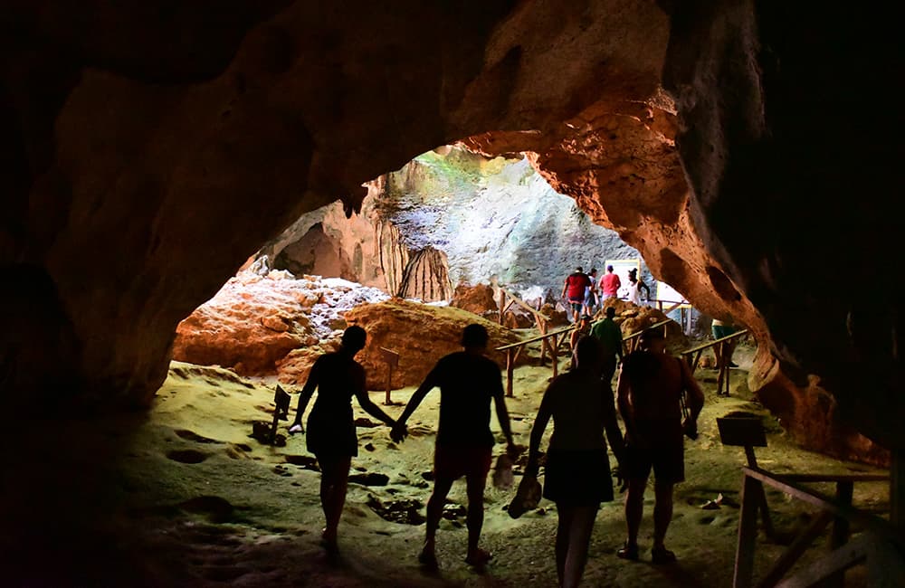 Los Haitises National Park and Cayo Levantado Boat Tour with DDD gallery image