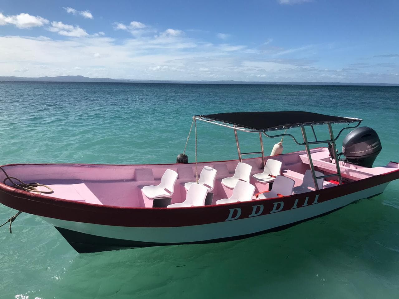 Sport Fishing in Samaná Bay with DDD Boat Tours gallery image