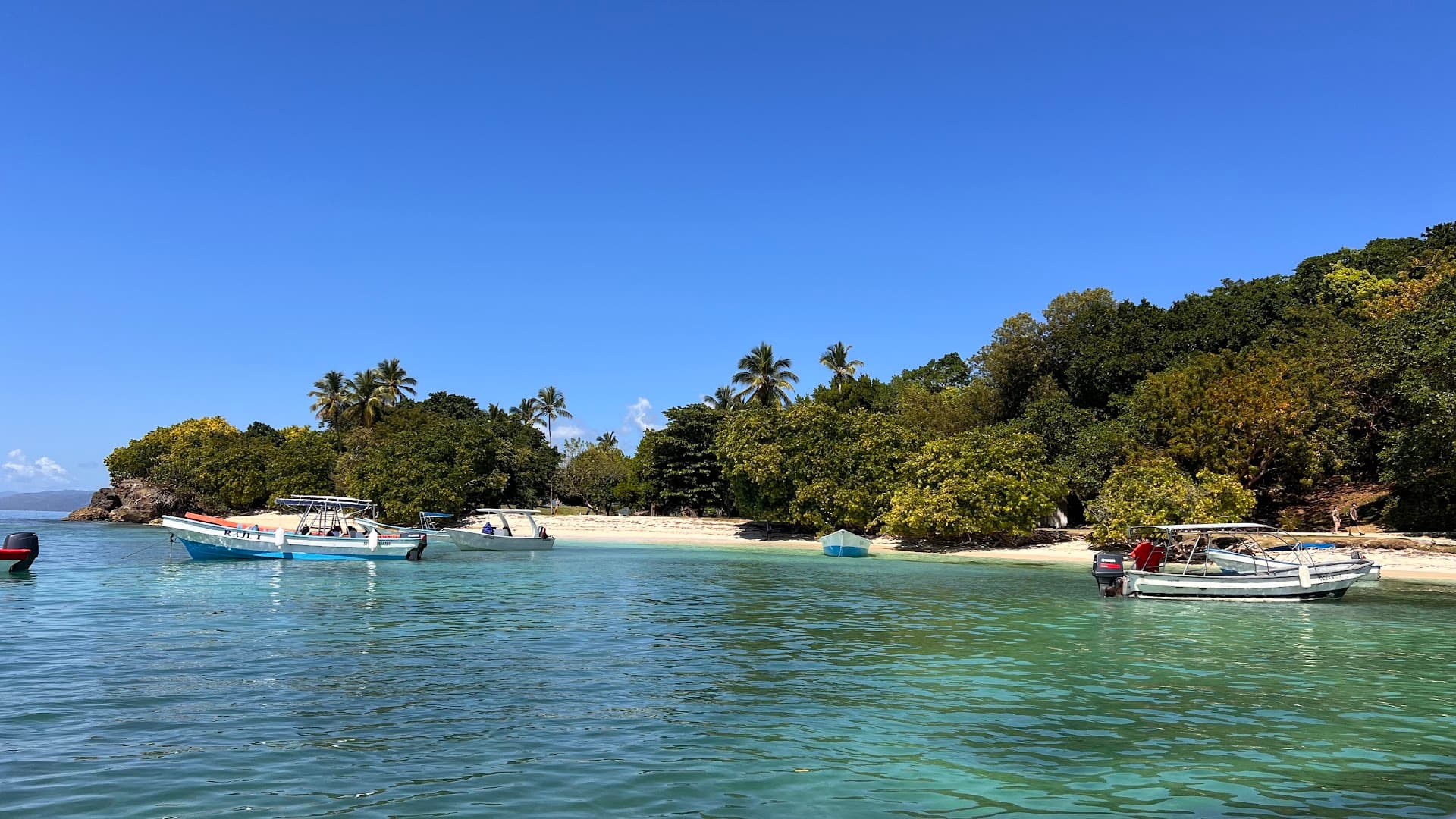 Sport Fishing in Samaná Bay with DDD Boat Tours
