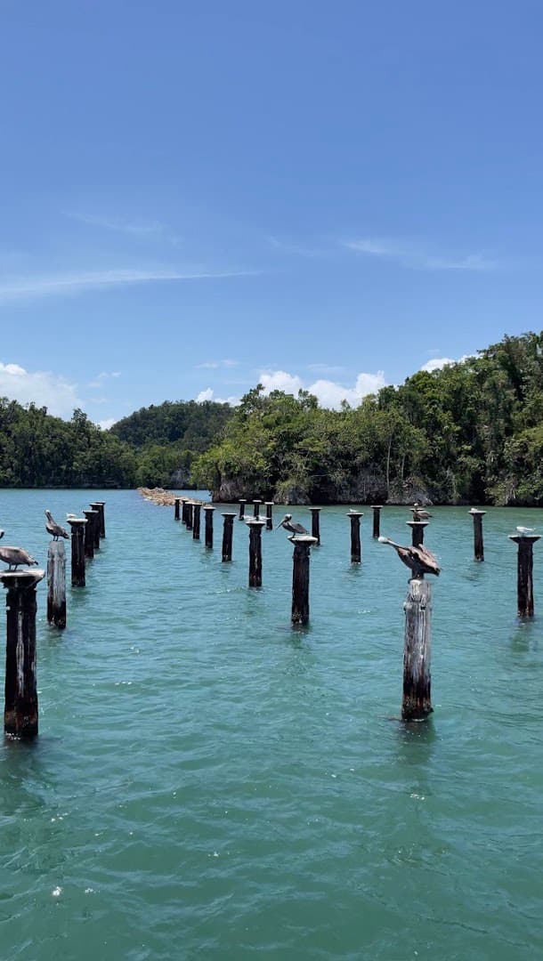 Sport Fishing in Samaná Bay with DDD Boat Tours gallery image