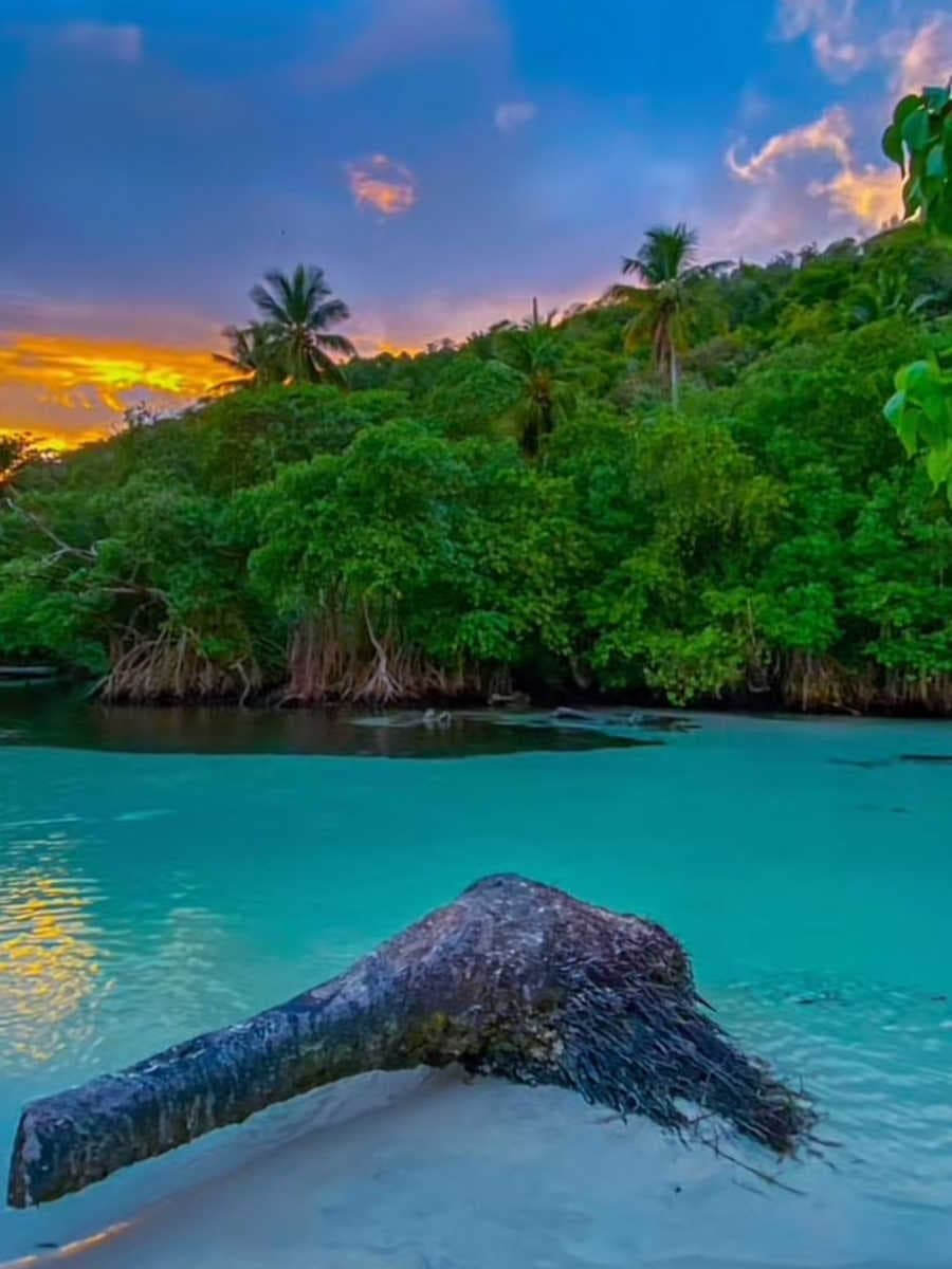 Playa Rincón, Caño Frío y La Hondonada en Taxi gallery image