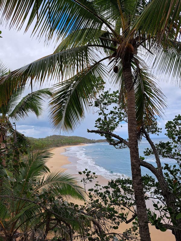 Six Virgin Beaches to Playa Ermitaño, on Foot gallery image