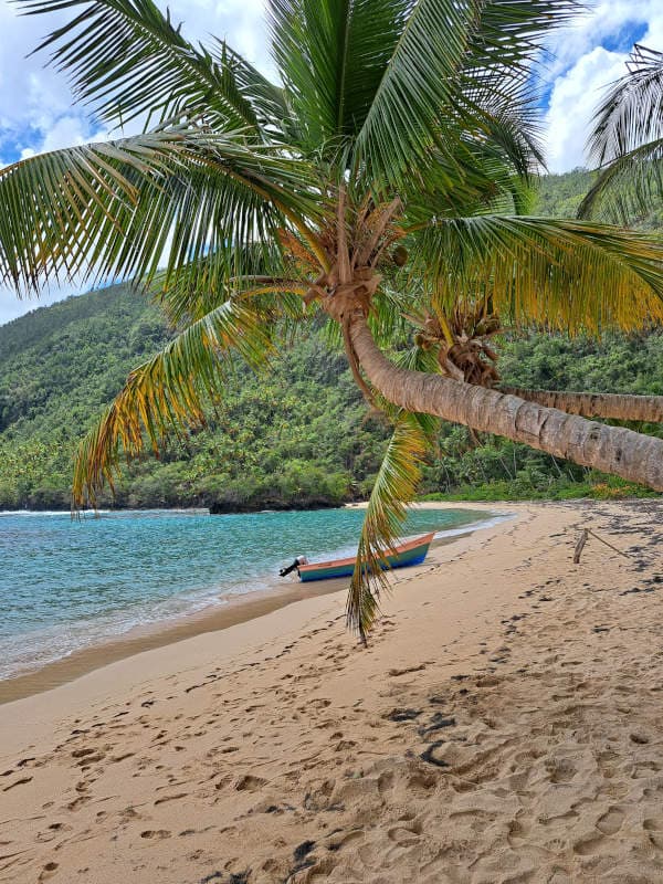 Playa Ermitaño & Playa Onda by Boat from El Valle gallery image