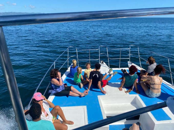 Humpback Whale Watching in Samaná Bay by Catamaran gallery image