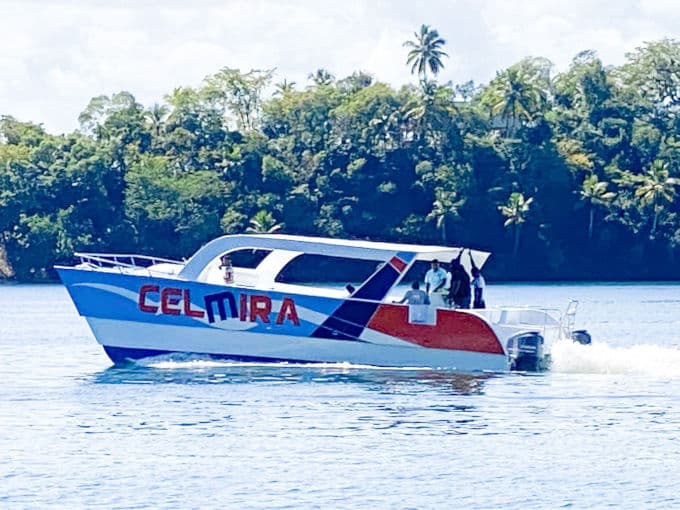 Avistamiento de Ballenas Jorobadas en la Bahía de Samaná en Catamarán gallery image