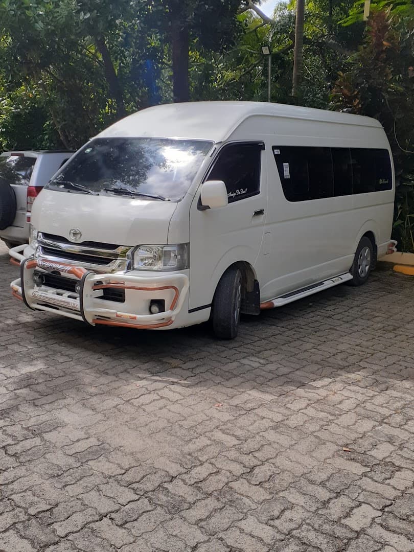 Taxi & Airport Transfers — Las Terrenas gallery image