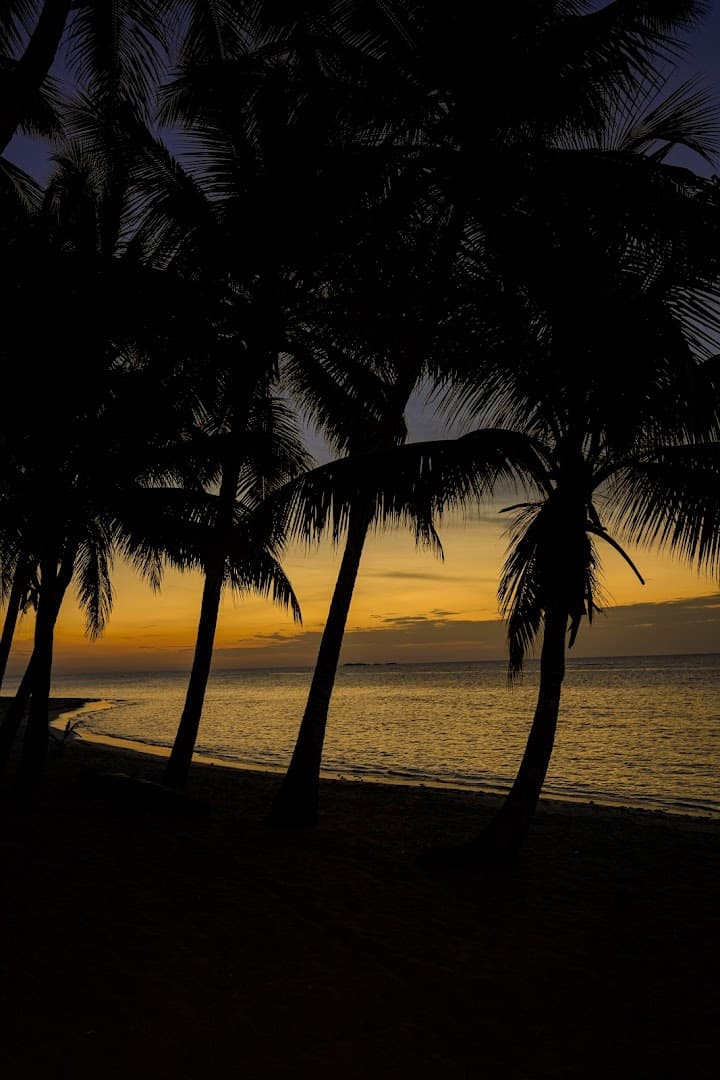 Taxi & Airport Transfers — Las Terrenas gallery image