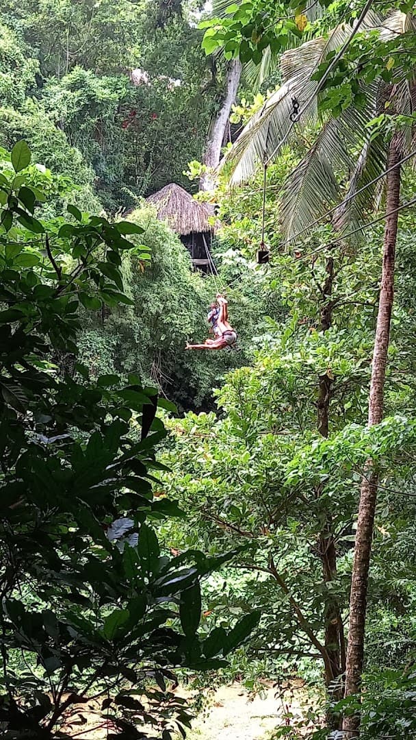 Treetop Zipline over the El Valle Rainforest gallery image