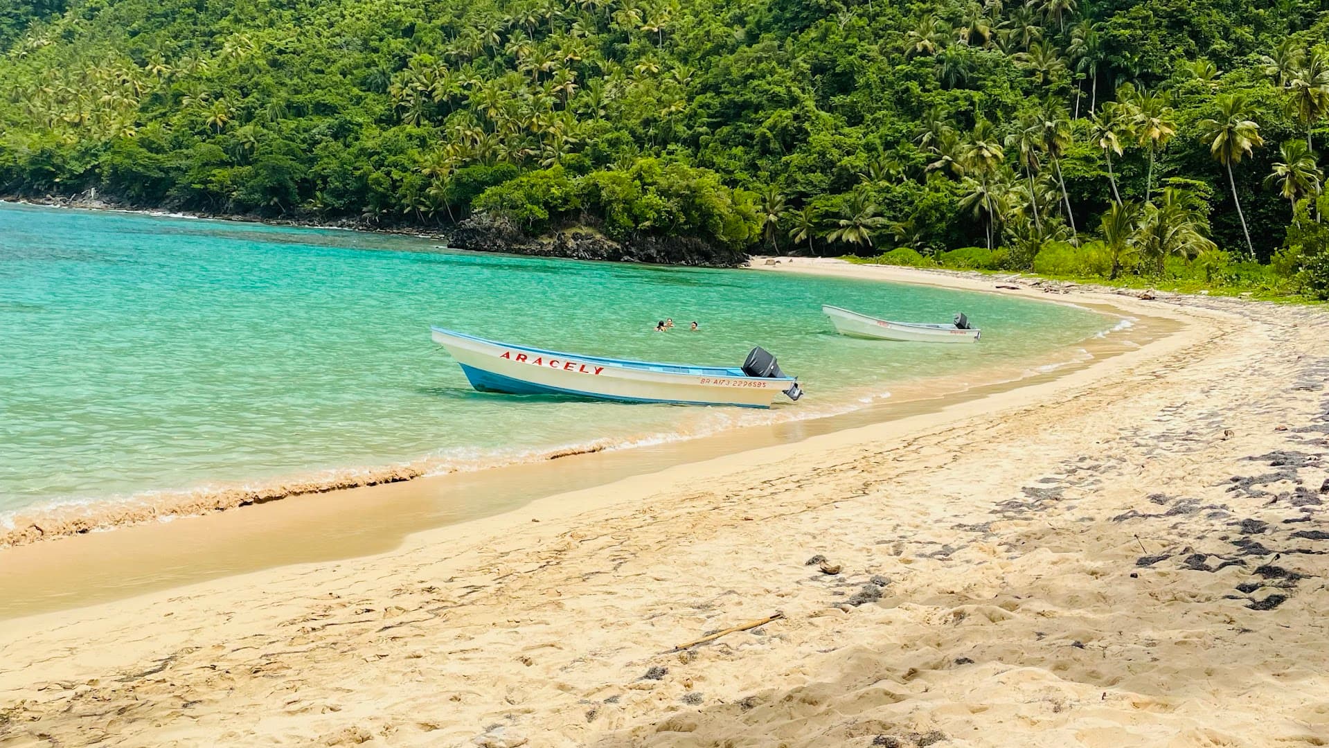Alex's Boat Tours cover