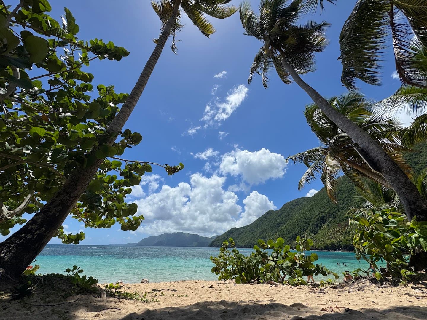 Boat Trips from El Valle Beach gallery image