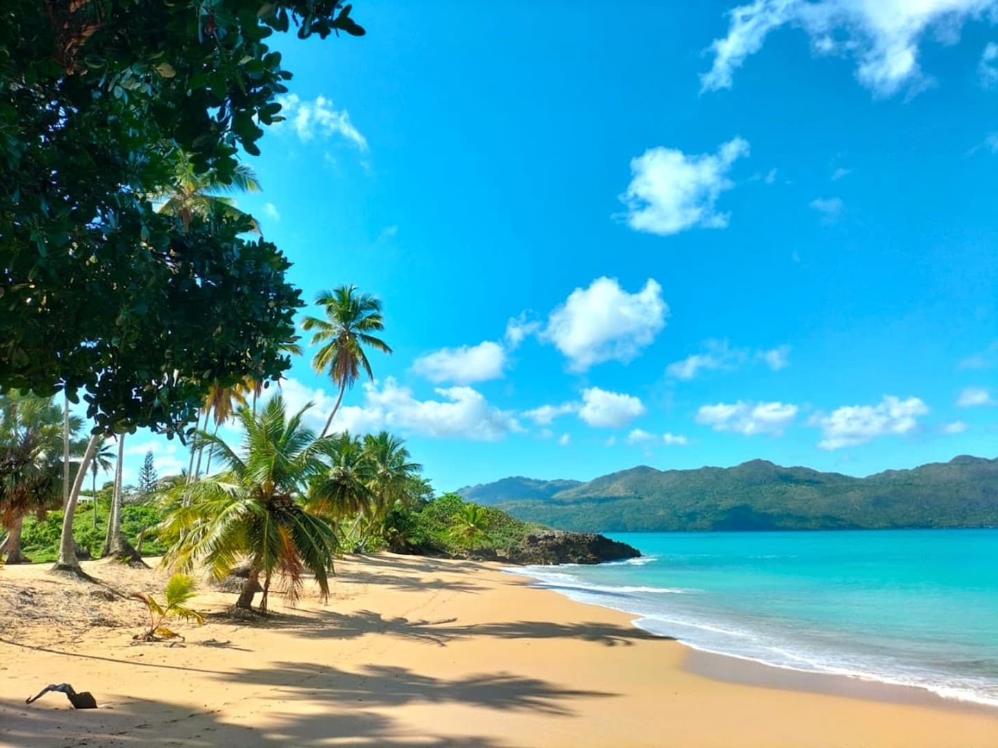 Guided Hikes & Boat Tours with Andrés