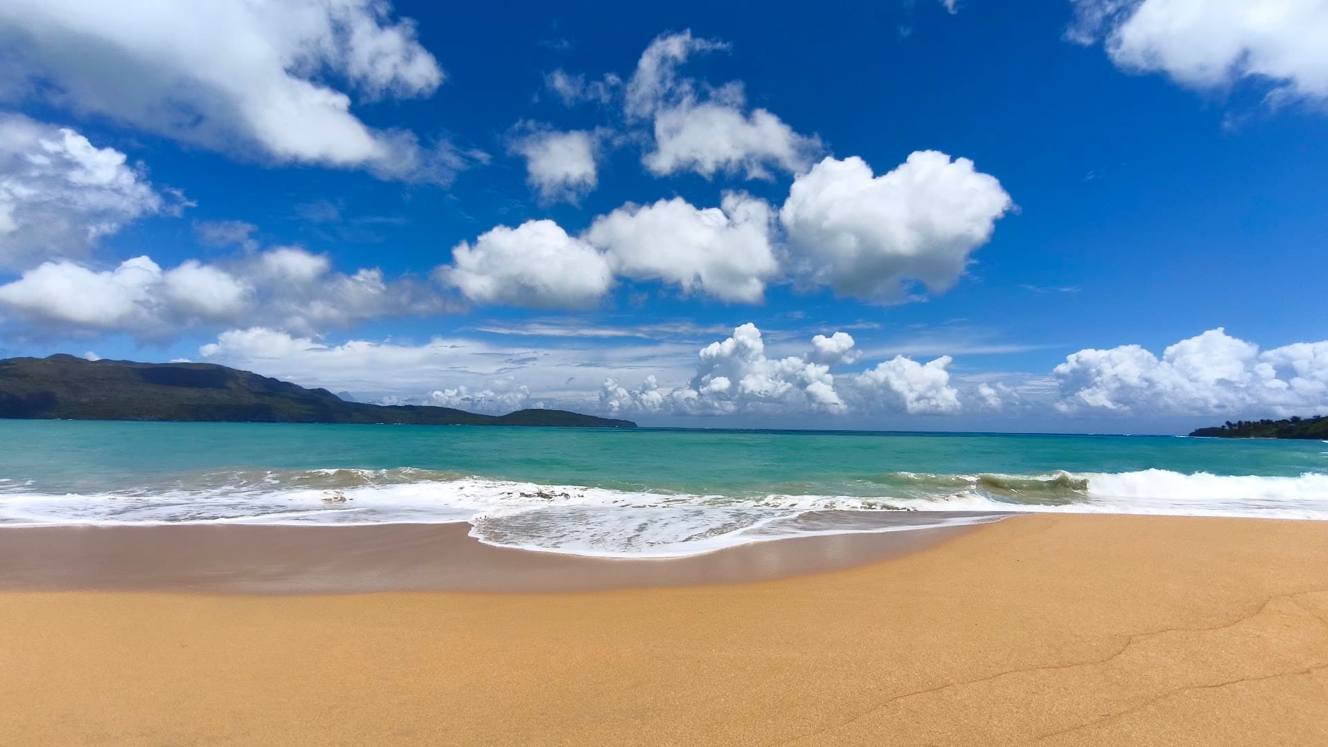 Guided Hikes & Boat Tours with Andrés gallery image
