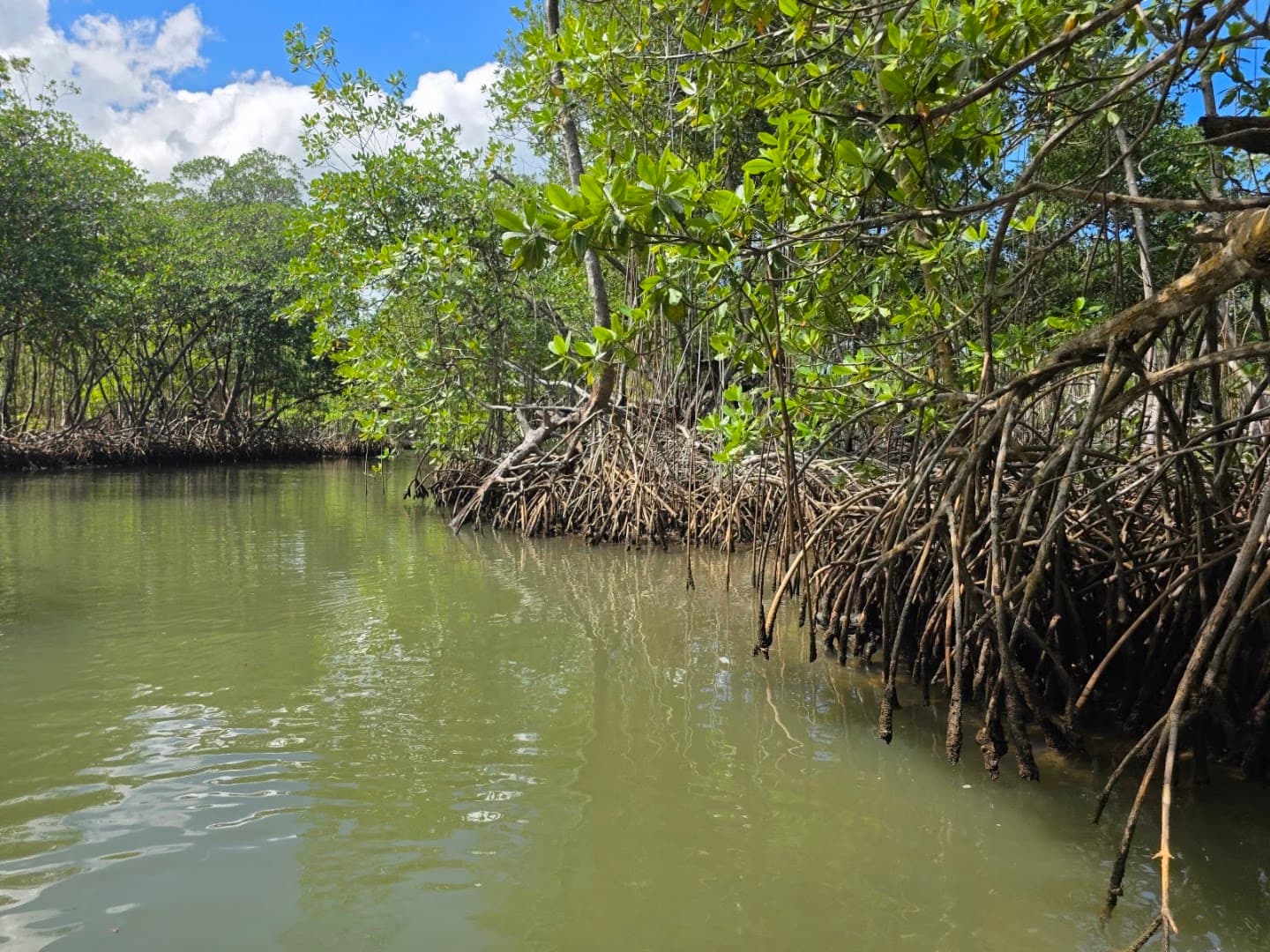Boat Trips to Playa Jackson & Coastal Beaches gallery image